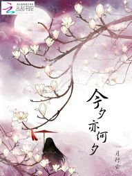 《今夕亦何夕》