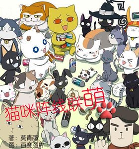 《猫咪阵线联萌》