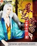 《凤起苍穹》