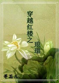 （红楼梦同人）穿越红楼之琅环/穿越红楼之琅環