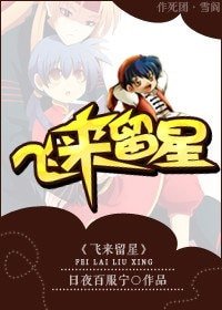  （中华小当家同人）飞来留星