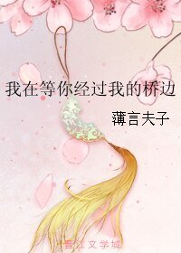 《我在等你经过我的桥边》