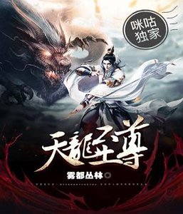 《天龙至尊》