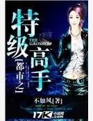 都市之特级高手