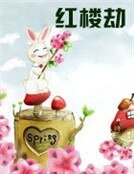 《红楼劫》
