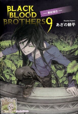BLACK BLOOD BROTHERS 黑蛇接近(黑血兄弟之九)