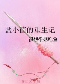 盐小茴的重生记