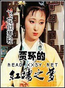 《(红楼同人)贾环的红楼之梦》