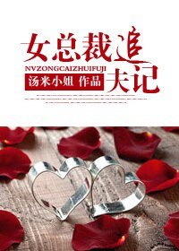 女总裁追夫记