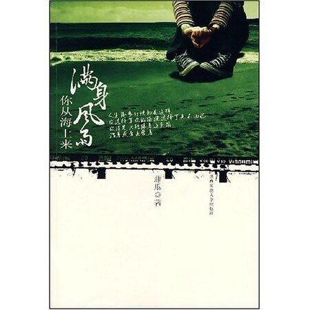 《满身风雨你从海上来》
