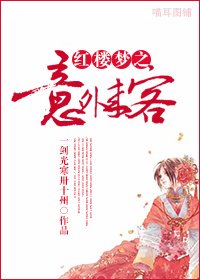 （红楼梦同人）红楼梦之意外来客