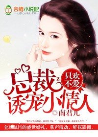 总裁的爱人/只欢不爱，总裁诱宠小爱人