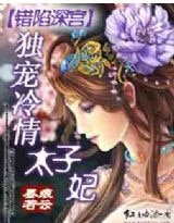 《错陷深宫:独宠冷情太子妃》