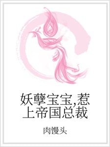《妖孽宝宝,惹上帝国总裁》