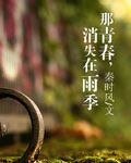 《那青春,消失在雨季》
