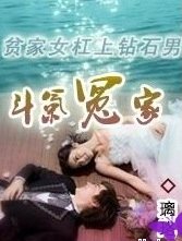 贫家女杠上钻石男：斗气冤家/扛上冷酷总裁