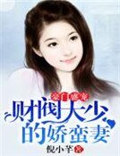 豪门盛宠：财阀大少的娇蛮妻