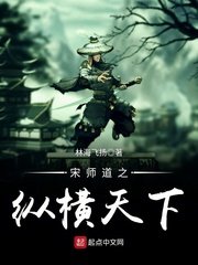 《宋师道之纵横天下》