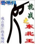 《抗战之东北王》
