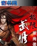 极限武修