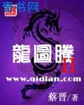《龙图腾II》