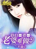 宠妻一加一:老婆难做