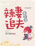 《重生九零辣妻追夫》