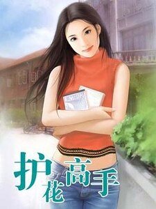 《护花高手》