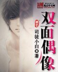 《双面偶像》