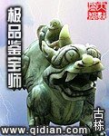 《极品鉴宝师》