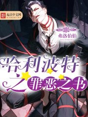 《哈利波特之罪恶之书》