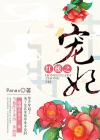 红楼之宠妃