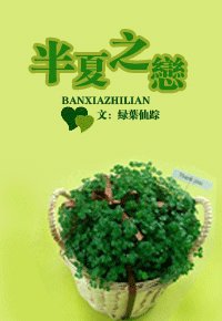 半夏之恋