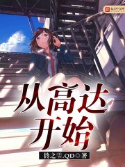《从高达开始》
