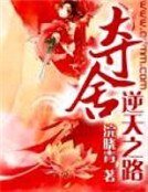 《夺舍逆天之路》