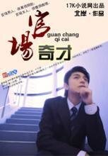 《官场奇才》