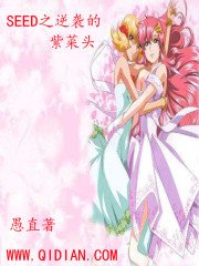 《SEED之逆袭的紫菜头》