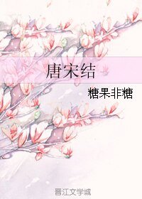 《唐宋结》
