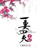 一妻四夫手记
