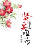重生之贤妻难为
