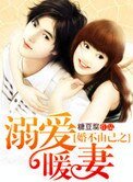 《婚不由己之溺爱暖妻》