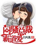 《闷骚总裁霸道爱》