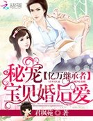 《亿万继承者:秘宠宝贝婚后爱》