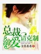 《总裁溺爱请克制》