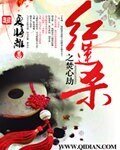 《红莲杀之焚心劫》