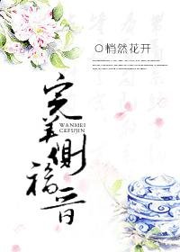 《完美侧福晋》