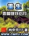 《重生之激情燃烧岁月》