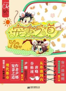 《宠妻之道》