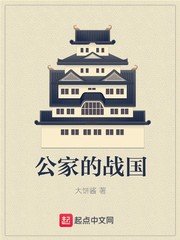 《公家的战国》