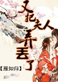 《又把夫人弄丢了》